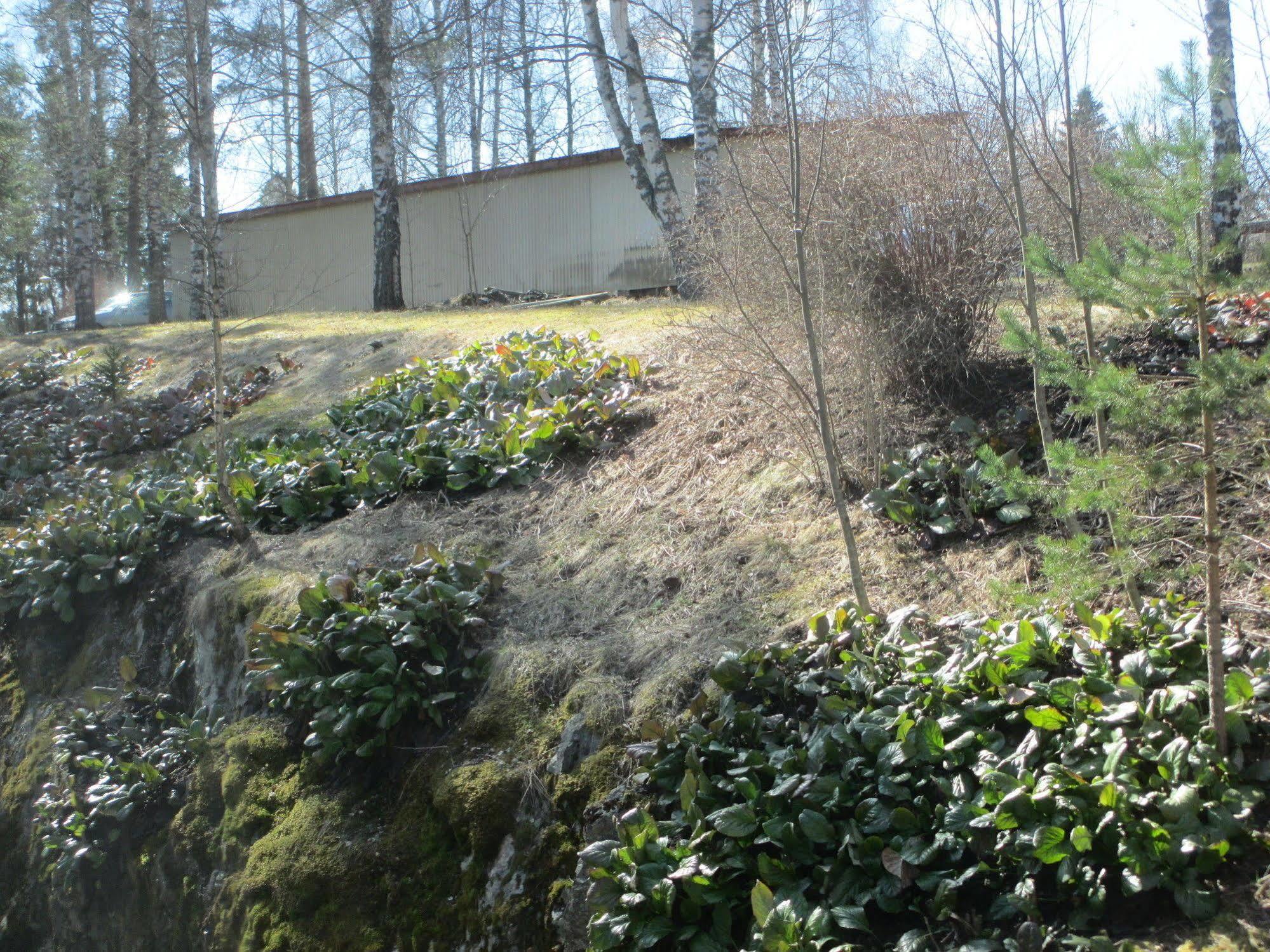 Huoneistohotelli Tarjanne Virrat Exterior photo